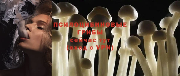 apvp Михайлов