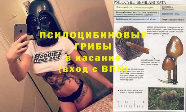 соль курить ск Медвежьегорск