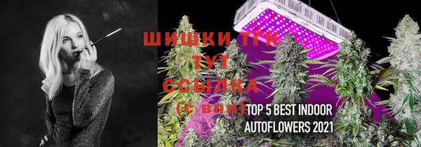 apvp Михайлов
