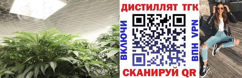 Купить  Михайловка  Дистиллят ТГК вейп 