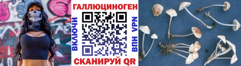 Галлюциногенные грибы MAGIC MUSHROOMS  Купить  Михайловка 